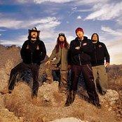 Damageplan - List pictures