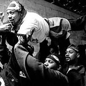 Wu-tang - List pictures