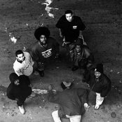 The Roots - List pictures