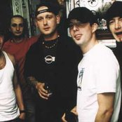 Spunge - List pictures