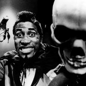 Screamin' Jay Hawkins - List pictures