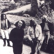 Wonder Stuff - List pictures