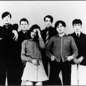 Pulp - List pictures