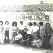 Tortilla Factory - List pictures