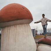 Darwin Deez - List pictures