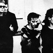 Bauhaus - List pictures