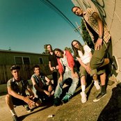 Pleymo - List pictures