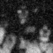 Suarez - List pictures