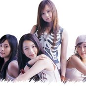 Sugar - List pictures