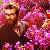 Eels - List pictures