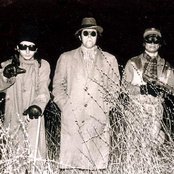 Gary Wilson - List pictures