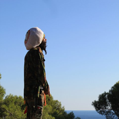 Congo Natty - List pictures