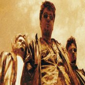 Threshold - List pictures