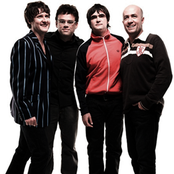 Skank - List pictures