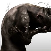 Blut Aus Nord - List pictures