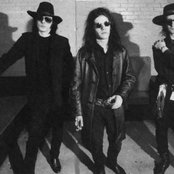 The Wake - List pictures