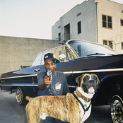 Snoop Doggy Dogg - List pictures