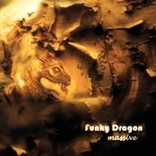 Funky Dragon - List pictures
