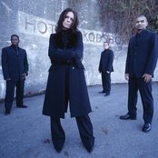 Bliss - List pictures