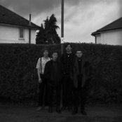 Wild Palms - List pictures