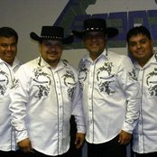 Los Palominos - List pictures