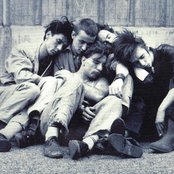 Einstuerzende Neubauten - List pictures