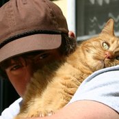 Mimicking Birds - List pictures