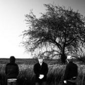 Omni - List pictures