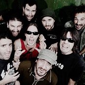 La Vela Puerca - List pictures