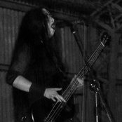 Hydra - List pictures