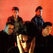 Moda - List pictures