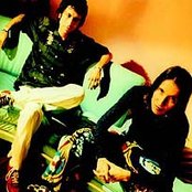 Los Aterciopelados - List pictures