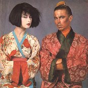 Dollar - List pictures