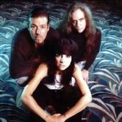 Concrete Blonde - List pictures