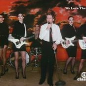 Robert Palmer - List pictures