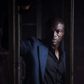 Seal - List pictures