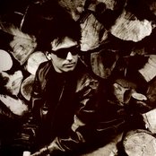 Recoil - List pictures