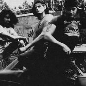 Carnivore - List pictures