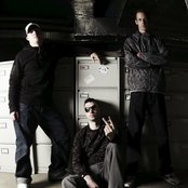 The Qemists - List pictures