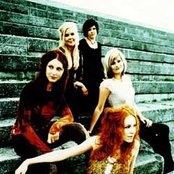 Indica - List pictures