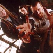 Flaw - List pictures