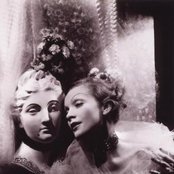 Marlene Dietrich - List pictures