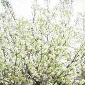 Telekinesis - List pictures