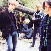 The Pastels - List pictures