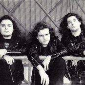 Opprobrium - List pictures