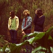 Tame Impala - List pictures