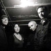 Tarnation - List pictures