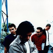 Plankeye - List pictures