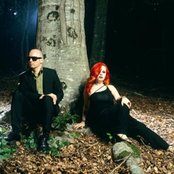 Fangoria - List pictures