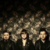 Hello Seahorse - List pictures